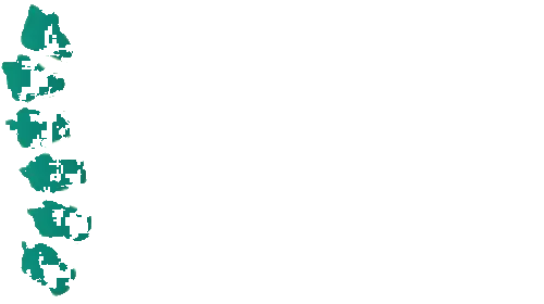 360° Physio- & Ergotherapie GmbH Logo